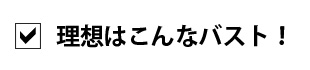 理想はこんなバスト！