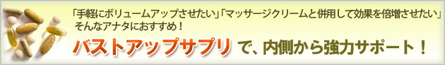 バストアップサプリで、内側から強力サポート！