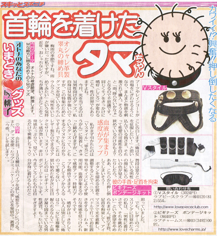 掲載記事　イメージ