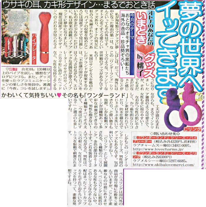 掲載記事　イメージ