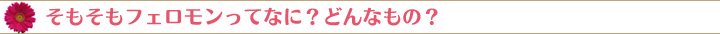 そもそもフェロモンってなに？どんなもの？