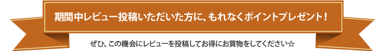 期間中レビュー投稿いただいた方に、もれなくポイントプレゼント！