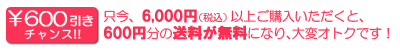 送料無料キャンペーン
