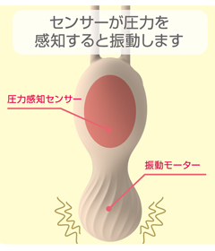 フェミメイト ケーゲルフィット（ちつトレ）