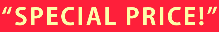 Black Friday Sale
